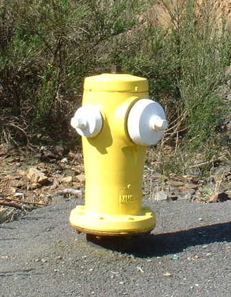 Typical Hydrant